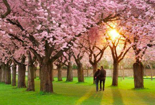 Constellations Familiales le 14 avril 2024