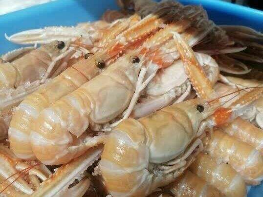langoustiness