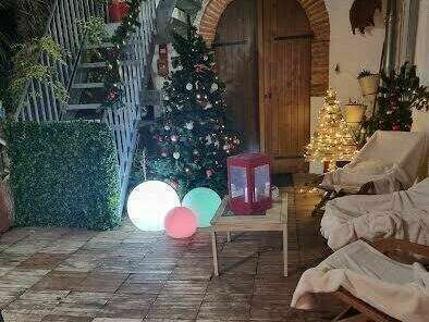 noel_220230922-3772093-3ua6uu