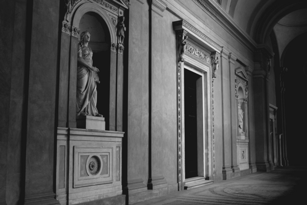 Un éléphant ça Trump énormément