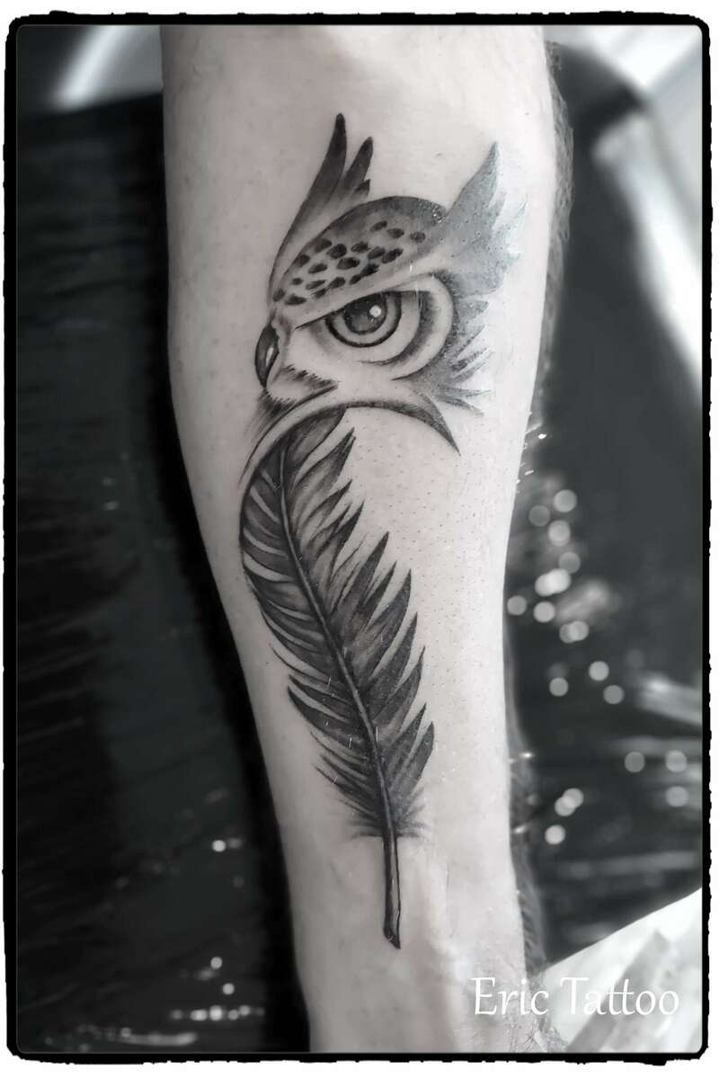 hibou