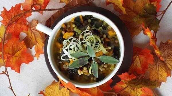 Équinoxe d'Automne : Un Temps de Transition pour le Corps et l'Esprit 