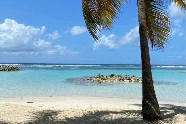 dbqyhaalte_1700568861