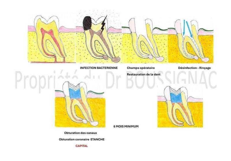 cl0pwdh5xq_1728858491