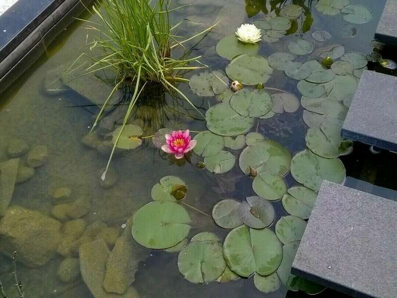 wp_20180604_00120220818-3093564-mk7nch