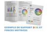 Les Rapports DISC & Forces Motrices