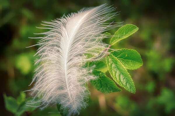 " Le jour où j'ai arrêté de me battre contre mon poids"