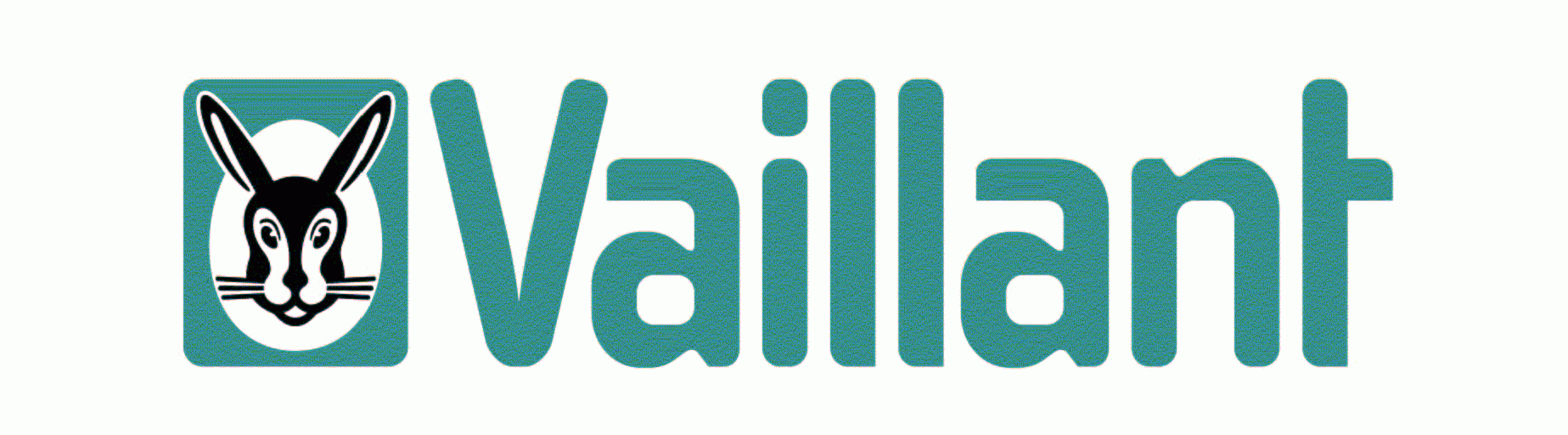 Vaillant