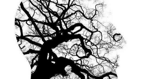 head with branches inside