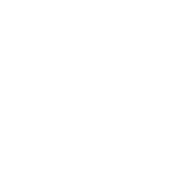 Logo Nacer Ben Abdeljalil