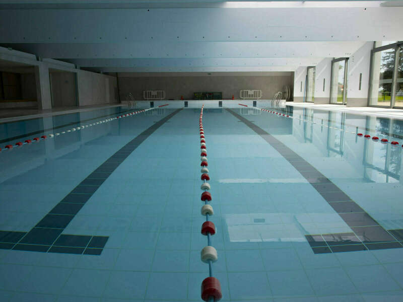 pisicne-refaite-scaled