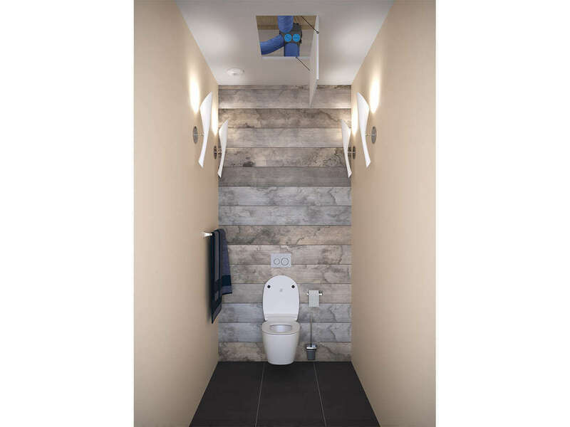 8be16fdbd97a-hygrocosy-bc-atlantic