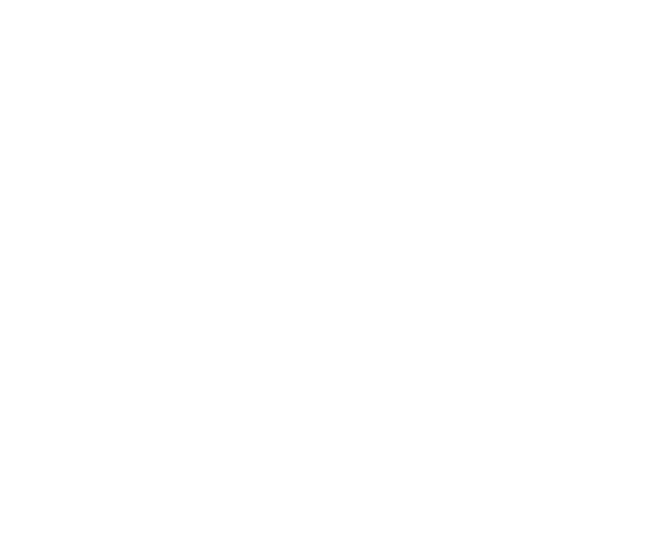 Logo IDP Stratégie