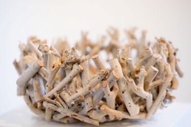 ixbtmqnaq3_1607936588