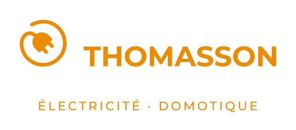 Logo Brice THOMASSON Logo Brice THOMASSON