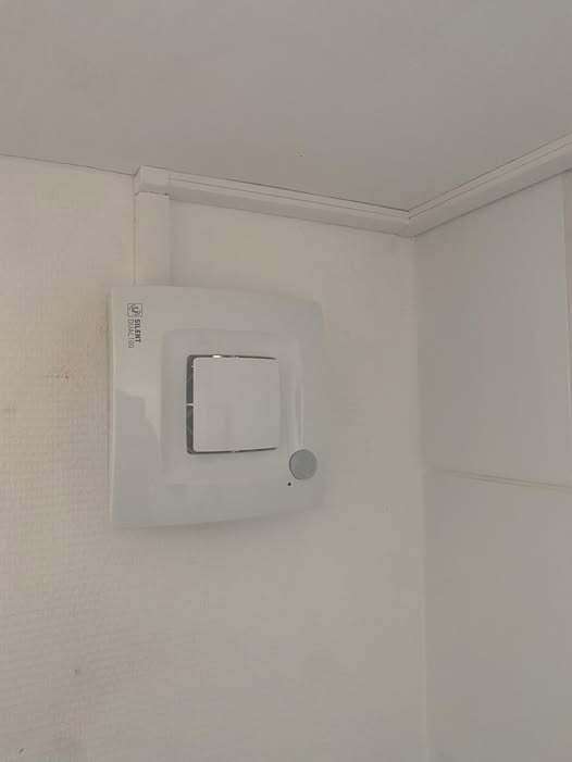 509422854_10237025404796711_3670700867718956515_n