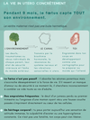 Environnement, canal, naissance : mécanisme de la programmation périnatale:  comment l'environnement et la naissance façonnent la mémoire du corps