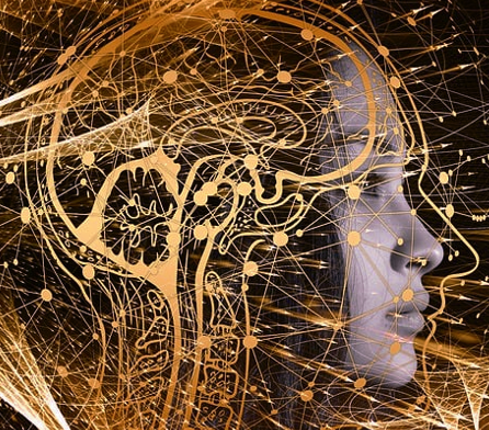 Naturopathie  Cahors ;  les  quatre piliers de ma pratique quantique.