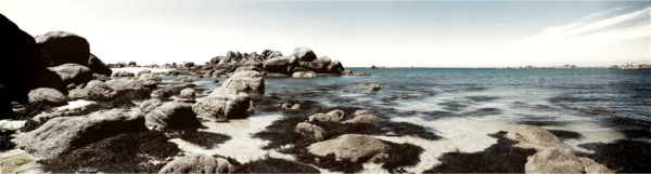 Les pouvoirs de l'iode