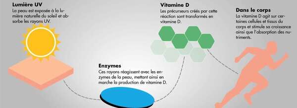 Connaissez vous votre taux de Vitamine  D ? 