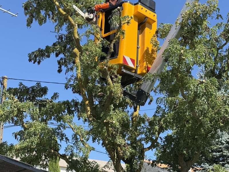 img_669420250918-4006287-eq3e6t20250918-4006287-wottb3