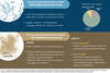 Eau et sable : usages et impacts