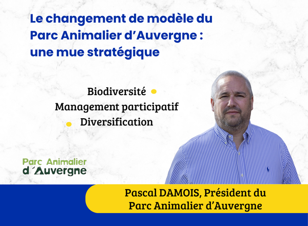 Du zoo au modèle de conservation : la mue stratégique du Parc Animalier d’Auvergne