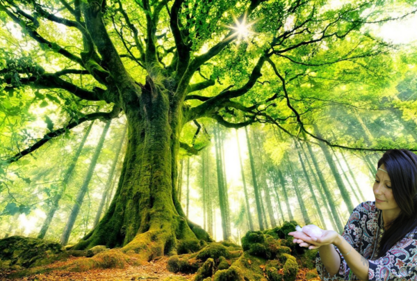 Sonia Ferreira, magnétiseur hypnothérapeute et coach