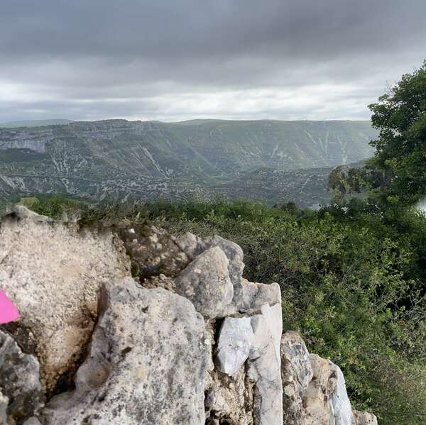RETRAITE YOGA ET RANDONNÉES DANS LES CEVENNES -  Le Mas des Oiseaux