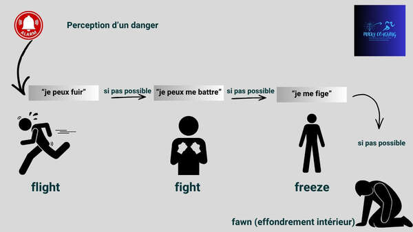 Comment aller bien dans un monde qui va mal :comprendre son stress et retrouver une certaine stabilité 