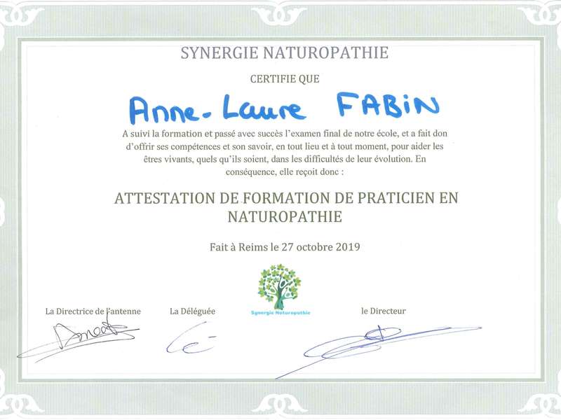 dipl_me_alf20200127-3841349-1xix1sz