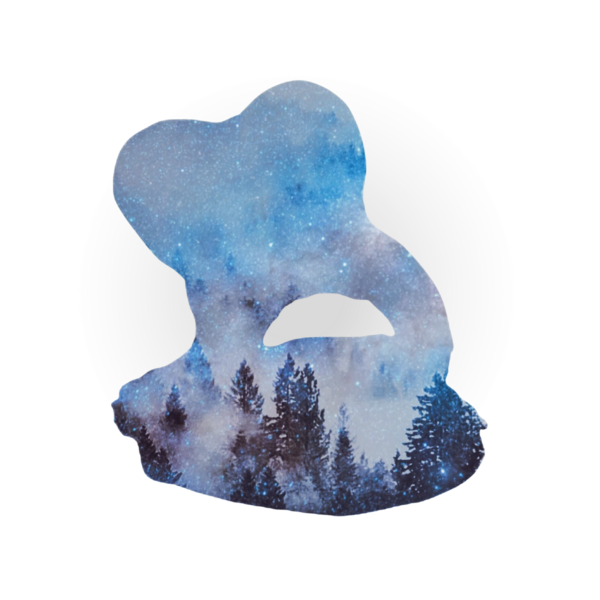 Logo Cabinet d'Orthodontie du Docteur Sophie LEROY à Saint-Jorioz