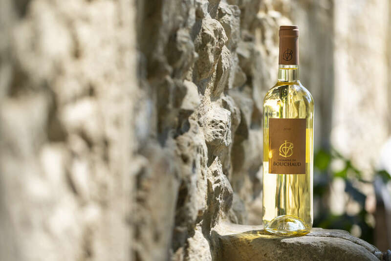 domaine_de_bouchaud-01320220816-187783-1c7r605