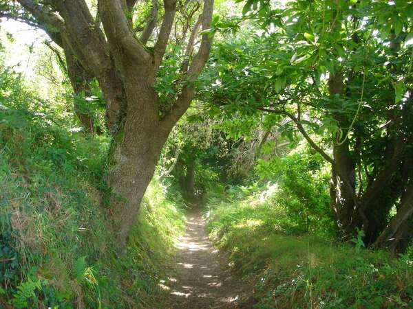 STAGES DE MEDITATION 2020: DECOUVRIR LES BIENFAITS DE LA MEDITATION
