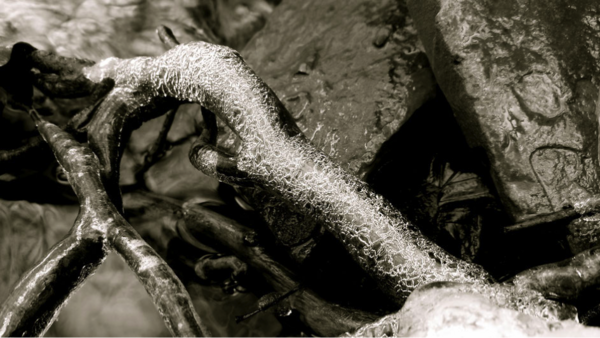 ACCOMPAGNER LA DEPRESSION ET LES EPISODES DEPRESSIFS