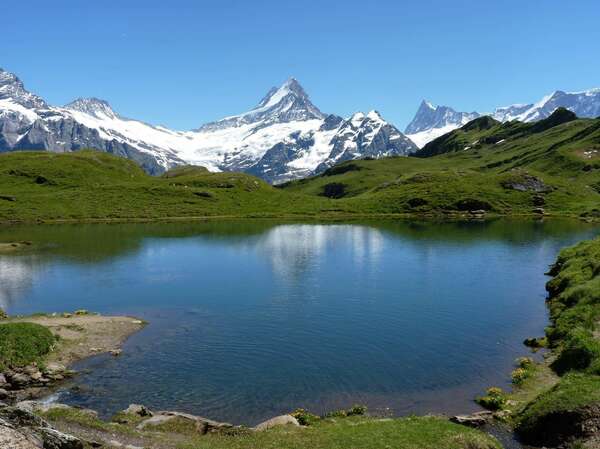 Calme et Clarté Mentale : C’est Bon de Méditer !
