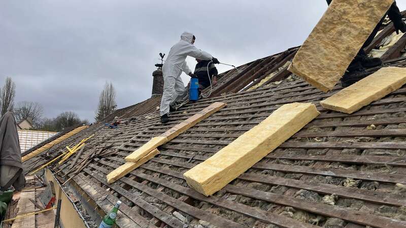 limiter les mousses et végétaux