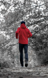 course à pied-sport d'endurance-performance mentale-facteur de performance-performance sportive-motivation-confiance en soi-estime de soi-données scientifiques-trail-gérer ses émotions-compétition-plan d'entrainement-joseph mestrallet