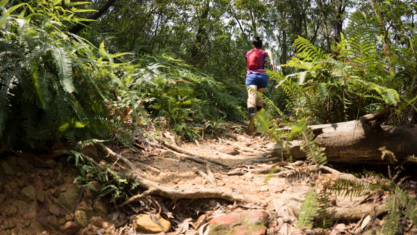 L’esprit Trail : valeurs, mentalité et philosophie de la course en pleine nature