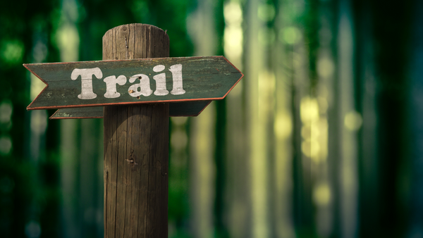 Comment se protéger des “gourous” et se développer personnellement ?