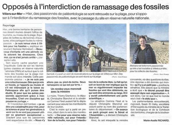 Opposé à l'interdiction de ramassage des fossiles