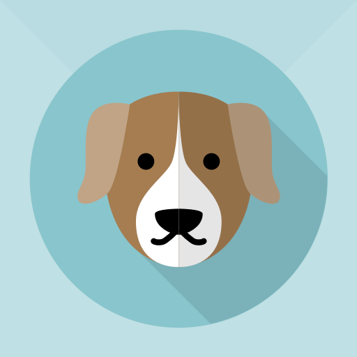 Chien Perdu