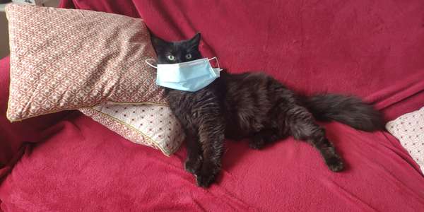 Maintien de la suspension des adoptions