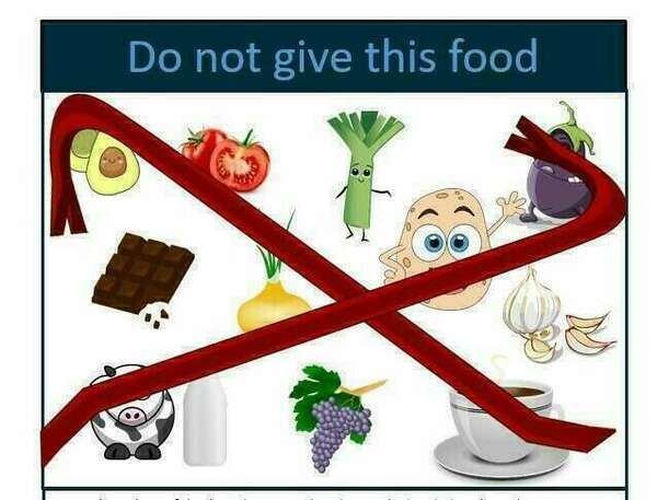Do not give this food