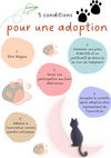 adoption