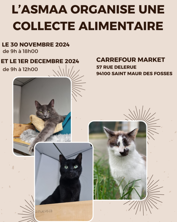 Collecte alimentaire le 30 novembre et le 1er décembre 20274