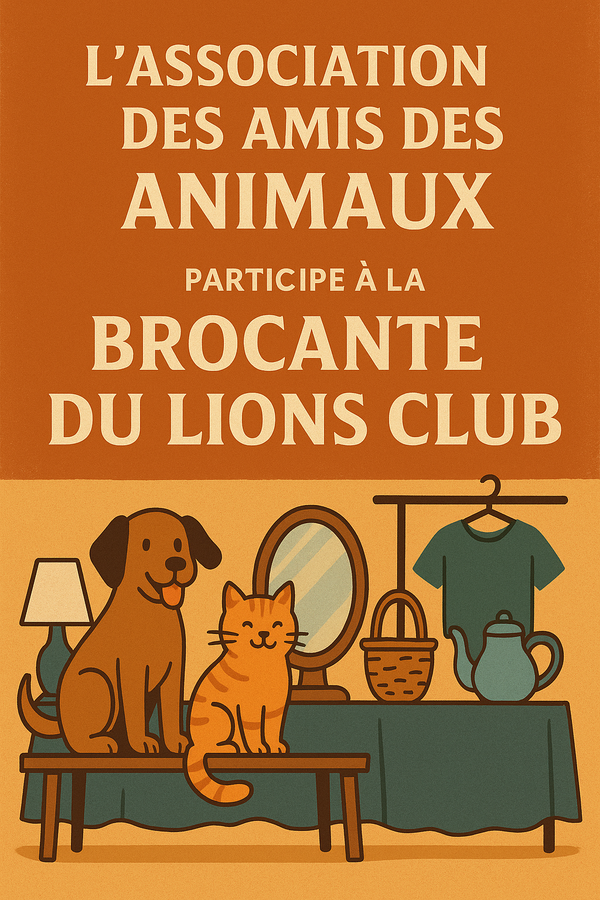 Stand au vide Grenier du Lions club - 4 mai 2025