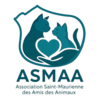 Adopter un chat dans le 94 - Association Saint-Maurienne des Amis des Animaux