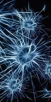 Céline Locussol, Neurofeedback à Champigny-sur-Marne