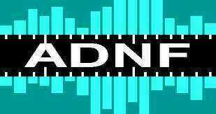 Annuaire des praticiens de neurofeedback 